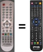 Telecomando equivalente Hyundai WHV3333