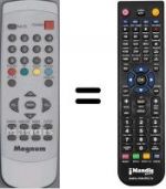 Telecomando equivalente WHV3974