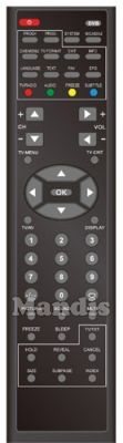 Telecomando originale DANGAARD B07 (0118020020)