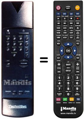 Telecomando equivalente 100 TS 009