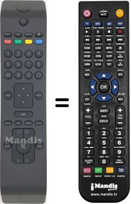 Telecomando equivalente Techwood TW 22916 B19 LED