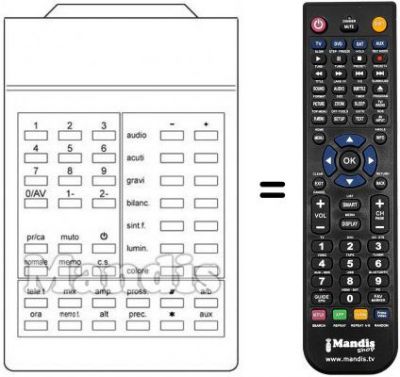 Telecomando equivalente 210 1001-9