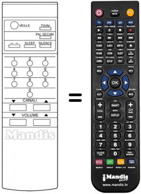 Telecomando equivalente 55 TLC