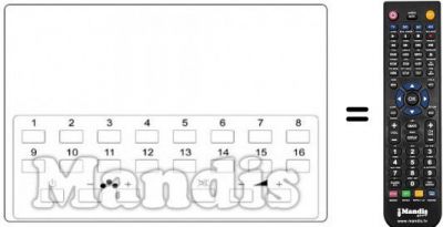 Telecomando equivalente Hitachi CPT 246 C