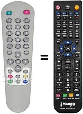 Telecomando equivalente Zodiac DZR 1DTT