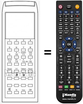 Telecomando equivalente RC 43