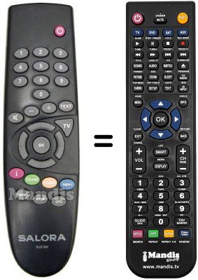 Telecomando equivalente RCS 300