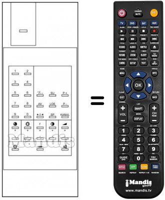 Telecomando equivalente RCS 9085