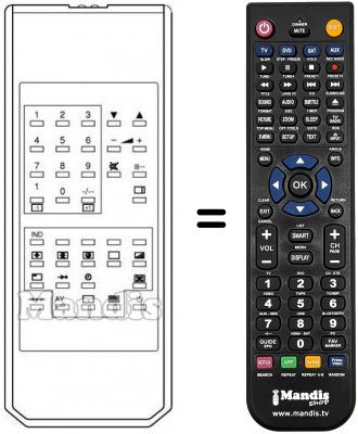 Telecomando equivalente Sinudyne 2180 A