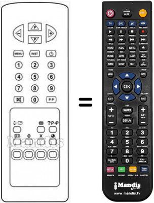 Telecomando equivalente RC2134