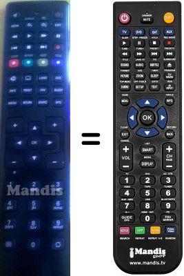 Telecomando equivalente Medion P17103