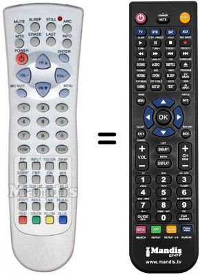 Telecomando equivalente REMCON1076