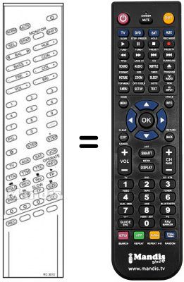 Telecomando equivalente RC3010