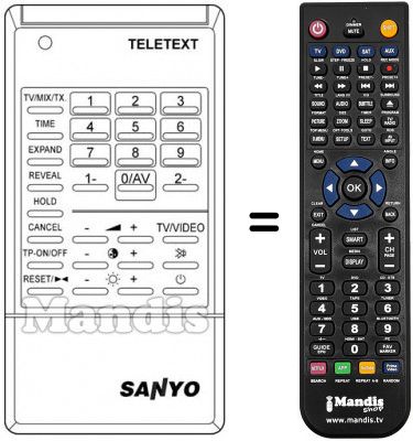 Telecomando equivalente RC317