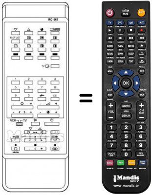 Telecomando equivalente RC667