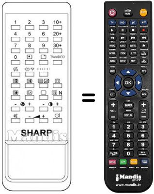 Telecomando equivalente RRMCG0498CESA