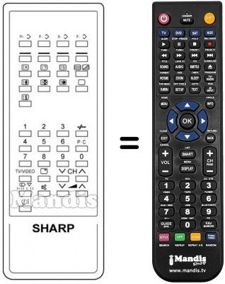 Telecomando equivalente RRMCG1014BMSA