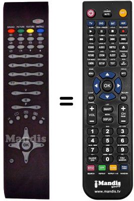 Telecomando equivalente RC1080 Telecomando equivalente RC1080