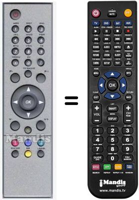 Telecomando equivalente HVS53511