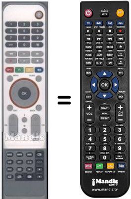 Telecomando equivalente HVS53486